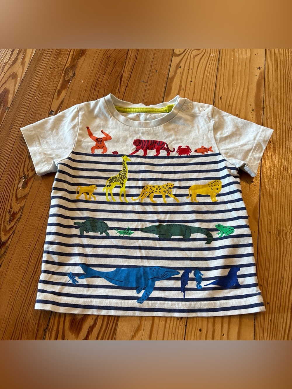 Mini Boden Rainbow Animal Tee T-shirt Striped 12-18 Months Baby Boys